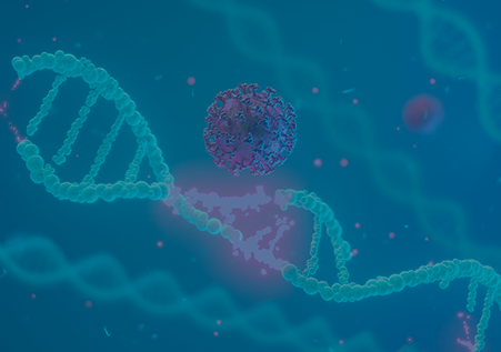 Cas9 ELISA試劑盒