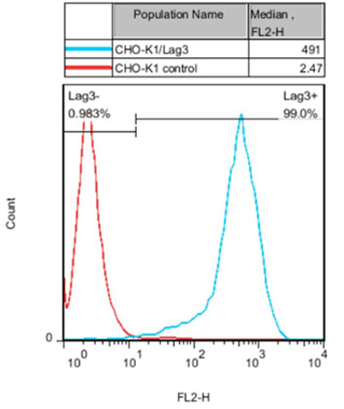 CHO-K1/Lag3(貨號(hào): M00532）細(xì)胞上Lag3的FACS 分析