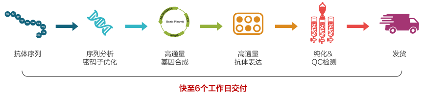 高通量抗體瞬時表達