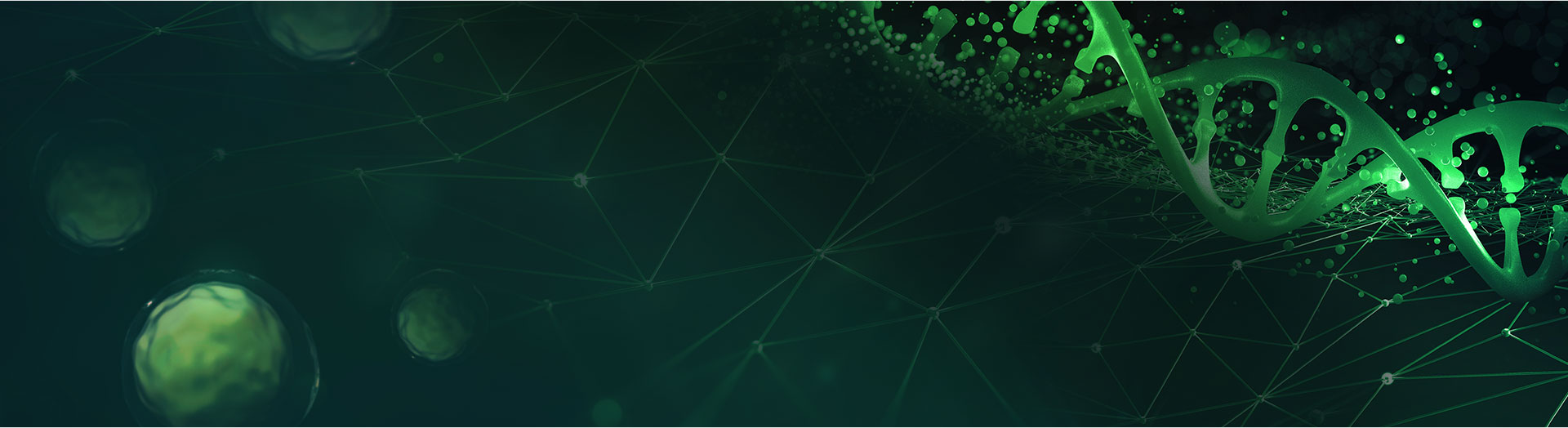 2024 BIONNOVA 第三屆BIONNOVA西部創新論壇