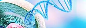 金斯瑞助力天津工業生物所在新型堿基編輯技術開發中取得新進展