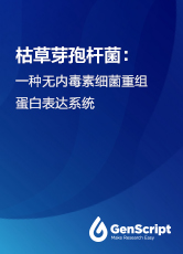 枯草芽孢桿菌：一種無內(nèi)毒素細(xì)菌重組蛋白表達(dá)系統(tǒng)