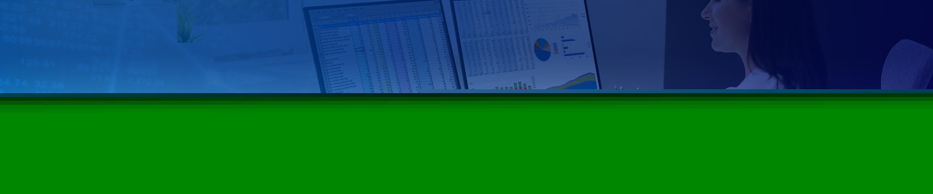 Analysts Information