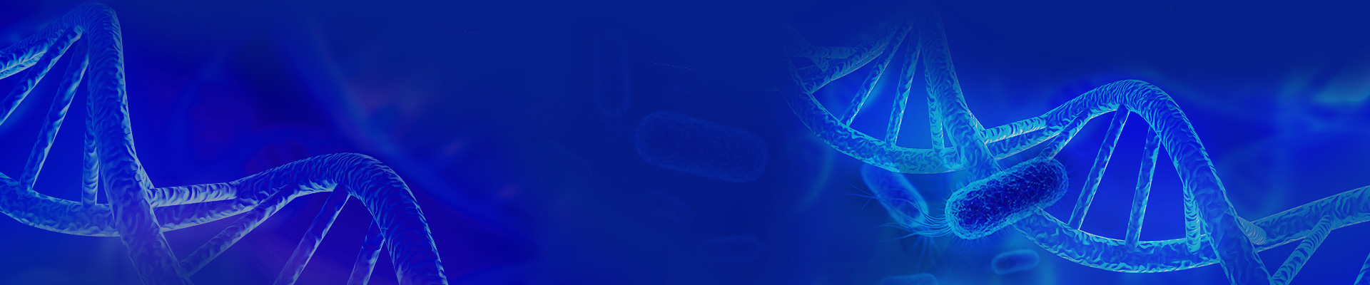 微生物基因組改造服務(wù)