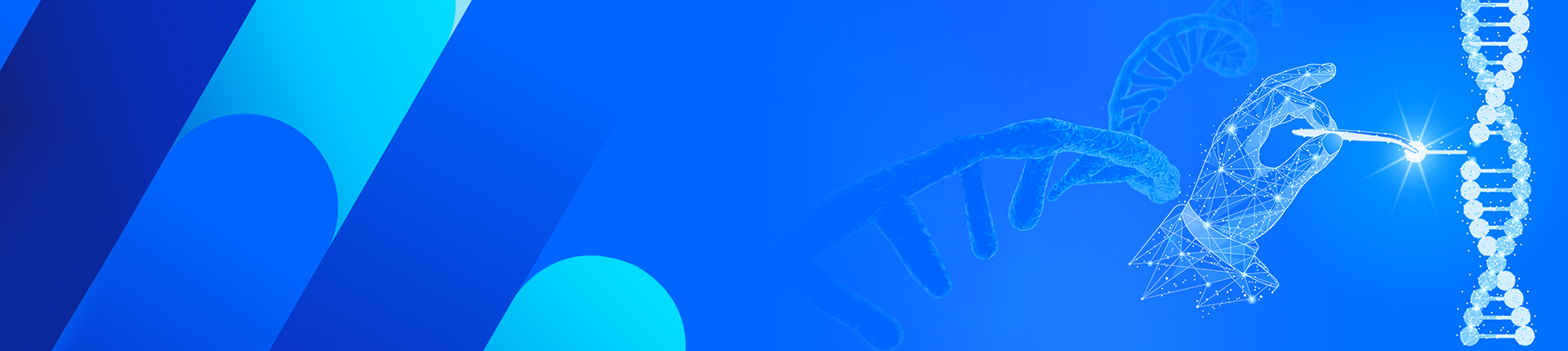 GenExact? ssDNA (長單鏈DNA)合成服務(wù)