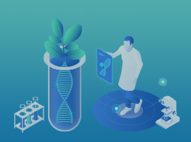 植物生物學解決方案
