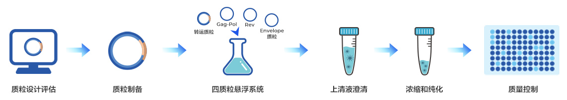 Lentiviral Packaging Workflow