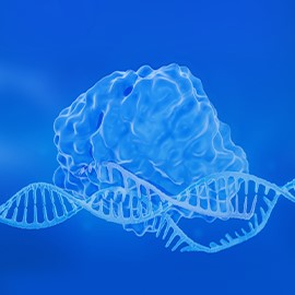 化學合成sgRNA