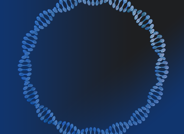 GenCRISPR? gRNA/Cas9質粒