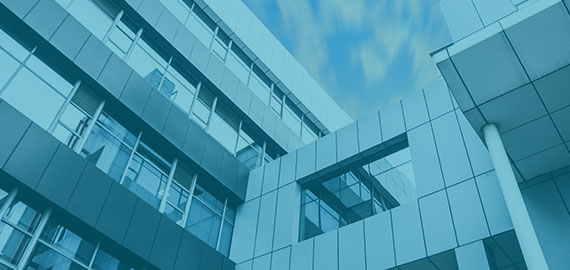 平臺型公司