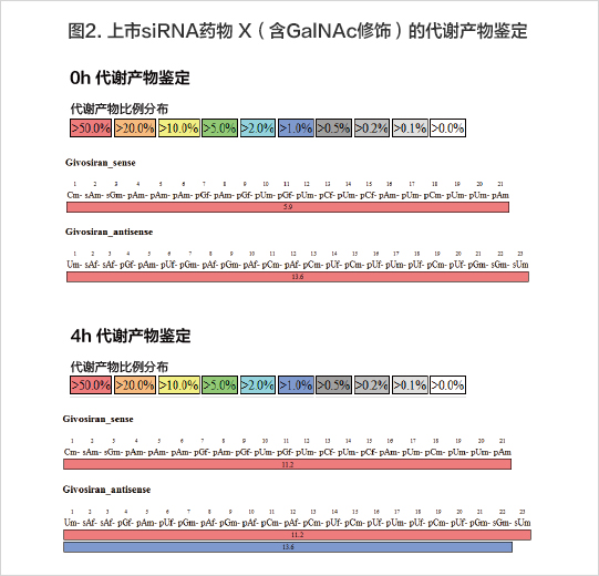 4h后鑒定代謝產(chǎn)物