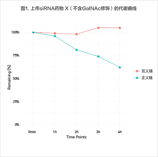 反義鏈未發(fā)生代謝