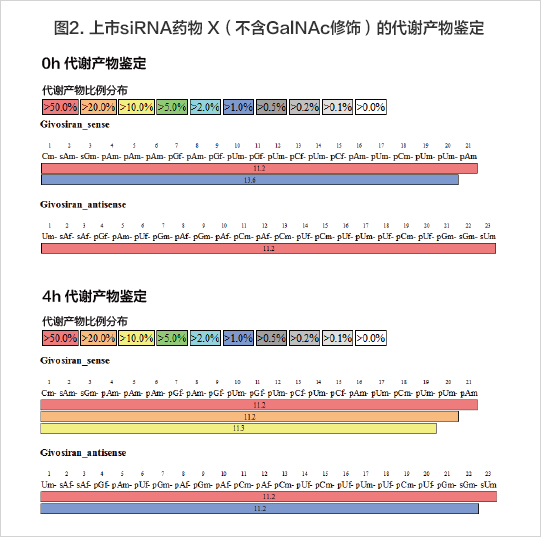 4h后鑒定代謝產(chǎn)物